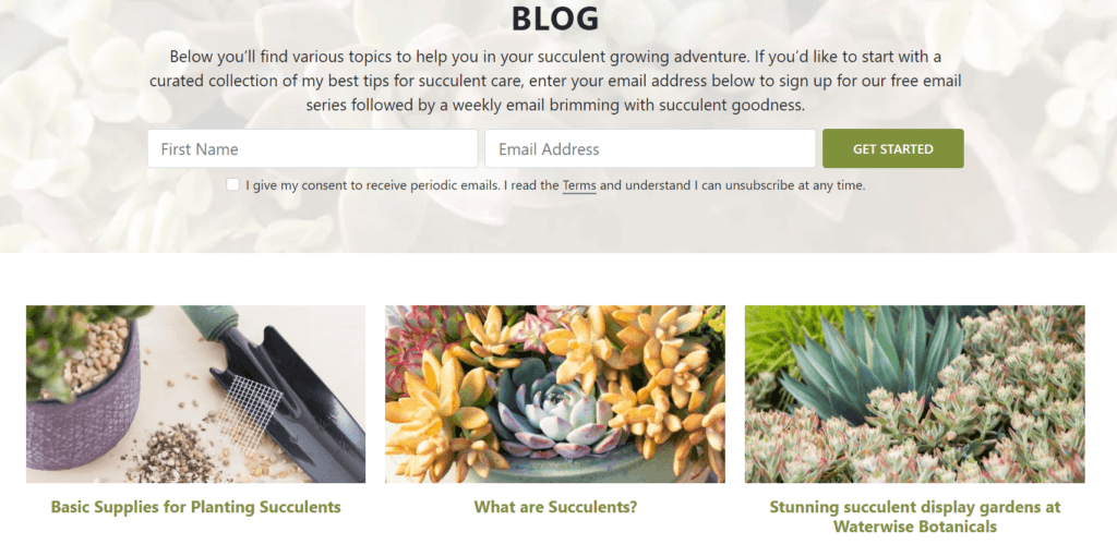 An example of a passion blog about growing succulents.