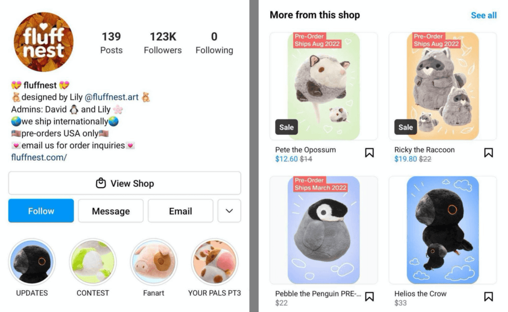 Fluff Nest Instagram shop example